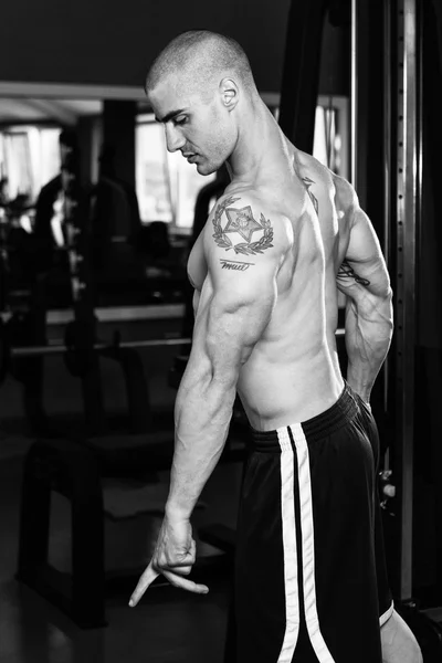 年轻的健美运动员弯曲的肱三头肌肌肉 — 图库照片