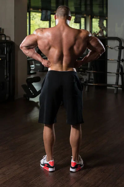 摆在健身房里的运动员肌肉健美 — 图库照片
