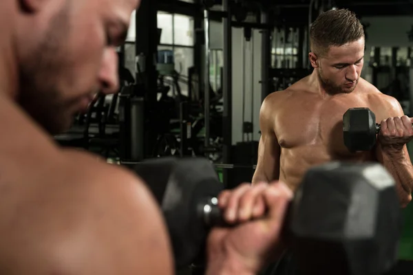 Biceps exercice avec haltères dans une salle de gym — Photo