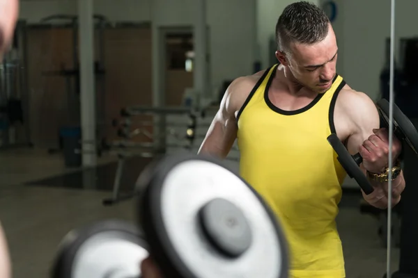 Young Man Exercise Biceps With Dumbbells — Stock Photo, Image