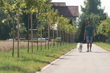 Parkın içinden köpek yürüyen genç adam