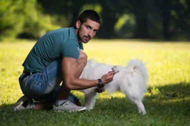 Adam parkta köpek Alman Spitz temizler