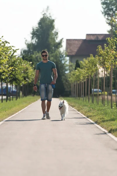 Молодой человек гуляет с собакой на природе в летнем парке — стоковое фото