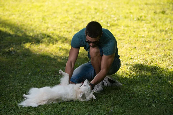 Uomo che gioca con il cane — Foto Stock