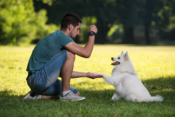 Człowiek bawiący się psem — Zdjęcie stockowe