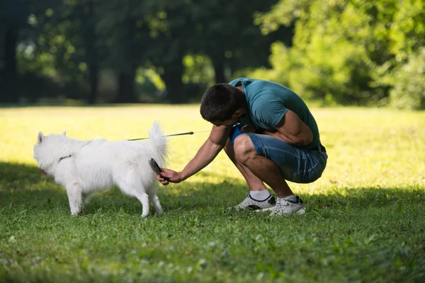 Mann putzt Hund German Spitz im Park — Stockfoto