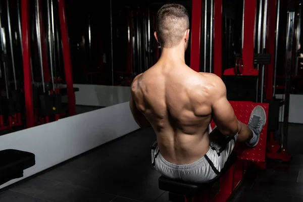 Guapo Culturista Haciendo Ejercicio Peso Pesado Para Volver Máquina — Foto de Stock