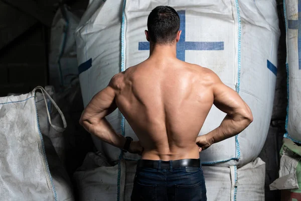 Young Man Standing Strong Warehouse Big Bags Flexing Muscles Muscular — Stock Photo, Image