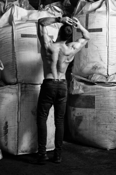 大きな袋と曲げ筋肉を持つ倉庫に強い立って若い男 筋肉運動体ビルダーフィットネスモデルのポーズ — ストック写真