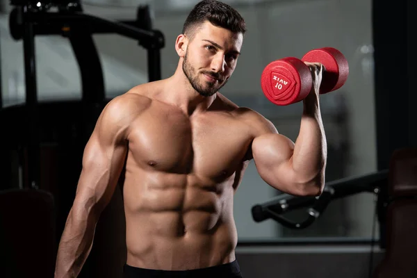 Athlete Working Out Biceps Gym Dumbbell Concentration Curls — Stock Photo, Image