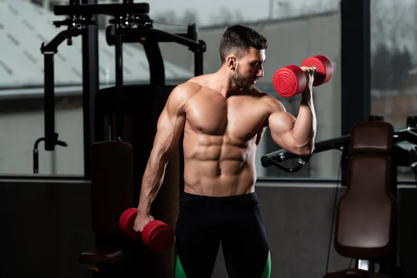 Atleta Trabalhando Fora Bíceps Ginásio Halteres Concentração Cachos — Fotografia de Stock