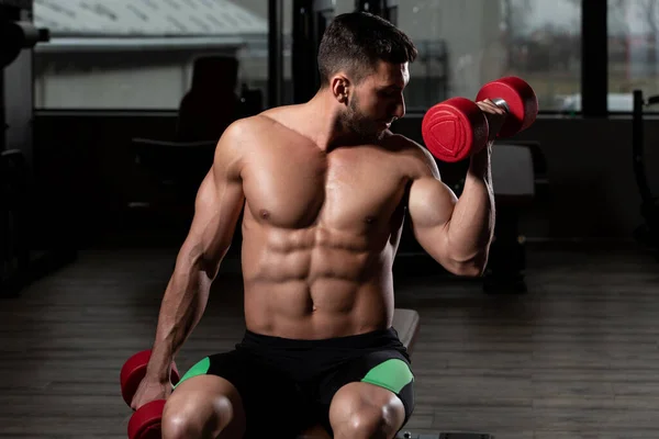 Athlete Working Out Biceps Gym Dumbbell Concentration Curls — Stock Photo, Image