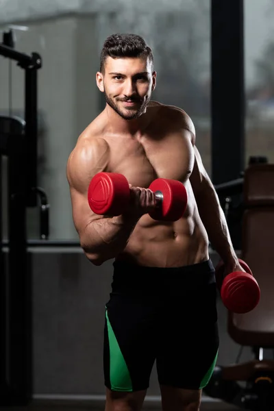 Atleet Trainen Biceps Een Fitnessruimte Dumbbell Concentratie Krullen — Stockfoto