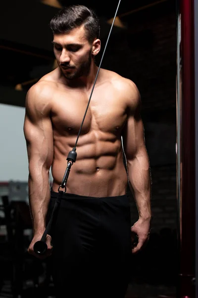 Man in the Gym Exercising on His Triceps on Machine With Cable in the Gym