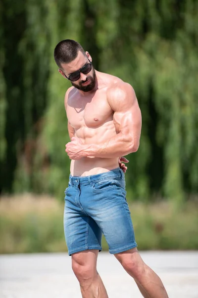 Knappe Baard Man Staan Sterk Poseren Buitenlucht Achtergrond Aard Van — Stockfoto