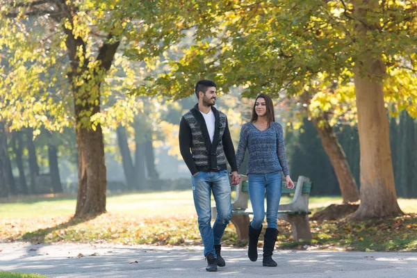 秋の森の中を歩くカップル — ストック写真