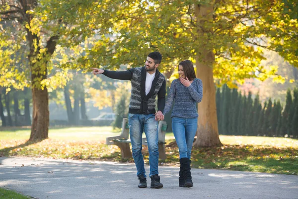 Sonbaharda Ormanda Dışarıda Ormanda Yürüyen Bir Çift — Stok fotoğraf