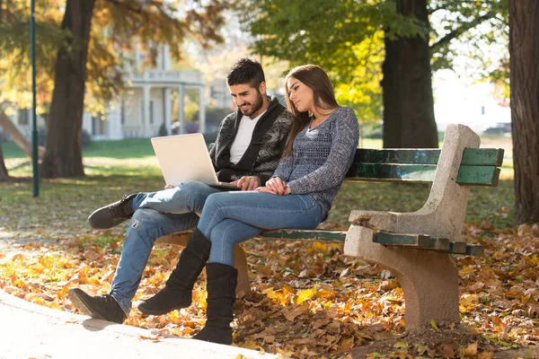 Young Couple Sitting Bench Beautiful Autumn Day Working Laptop Park —  Fotos de Stock