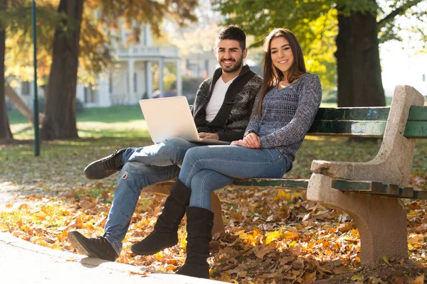 Young Couple Sitting Bench Beautiful Autumn Day Working Laptop Park —  Fotos de Stock