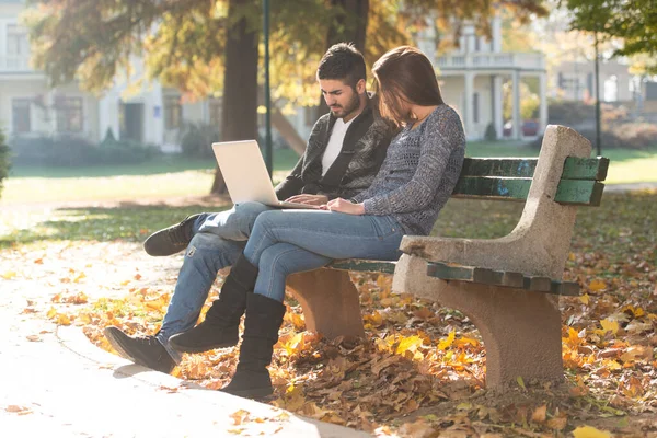 Young Couple Sitting Bench Beautiful Autumn Day Working Laptop Park —  Fotos de Stock