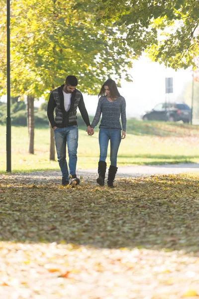 Casal Andando Floresta Através Floresta Fora Durante Outono — Fotografia de Stock