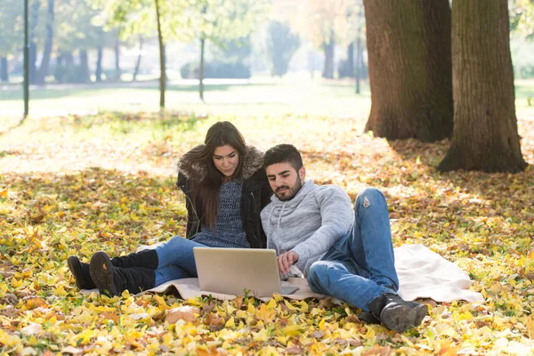 Pareja Joven Sentada Una Manta Hermoso Día Otoño Trabajando Computadora — Foto de Stock