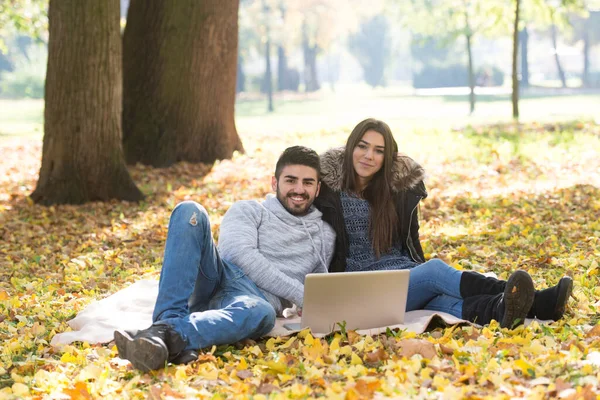 在美丽的秋天 一对年轻夫妇坐在毛毯上 在公园的笔记本电脑上工作 — 图库照片