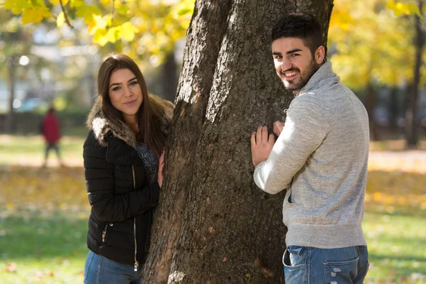 Pareja Joven Coqueteando Entre Árbol Hermoso Día Otoño Parque —  Fotos de Stock