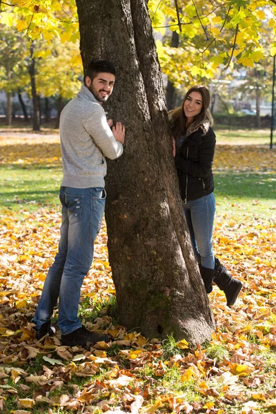 Pareja Joven Coqueteando Entre Árbol Hermoso Día Otoño Parque — Foto de Stock