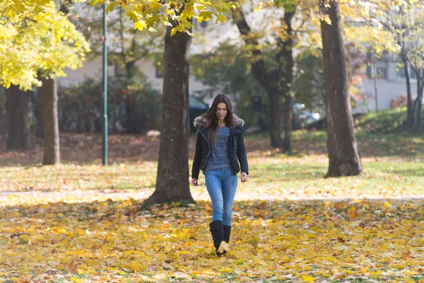 Mujer Joven Caminando Bosque Través Los Bosques Fuera Durante Otoño —  Fotos de Stock