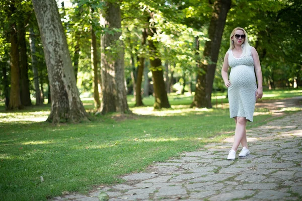 Retrato Una Mujer Embarazada Feliz Orgullosa Mirando Vientre Parque — Foto de Stock