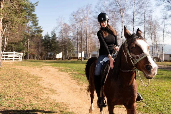 Jeune Cavalière Avec Son Cheval Jouissant Une Bonne Humeur Coucher — Photo