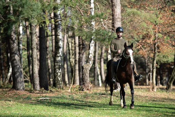 Unge Man Jockey Ridning Brun Häst Promenad Över Fältet — Stockfoto