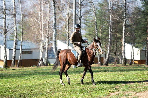 Portrait Confident Male Jockey Horse Standing Field — Stock Photo, Image