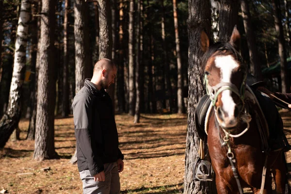 Jeune Homme Debout Près Cheval Préparant Monter Brown Horse Promenade — Photo