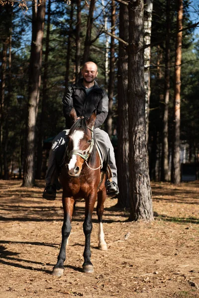 Unge Man Jockey Ridning Brun Häst Promenad Över Fältet — Stockfoto
