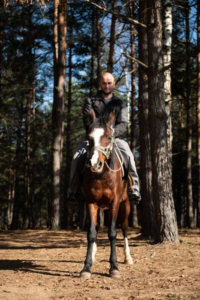 Porträtt Självsäker Man Med Häst Stående Fältet — Stockfoto