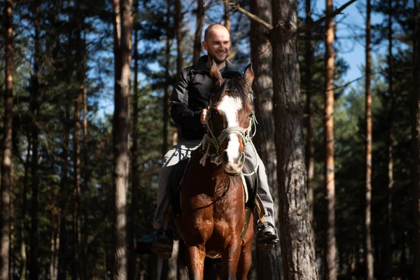 馬がフィールドに立っている自信の男性の肖像画 — ストック写真