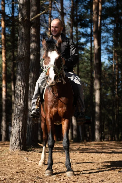 Unge Man Jockey Ridning Brun Häst Promenad Över Fältet — Stockfoto