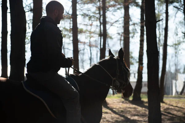 Jongeman Jockey Paardrijden Bruin Paard Wandelen Veld — Stockfoto