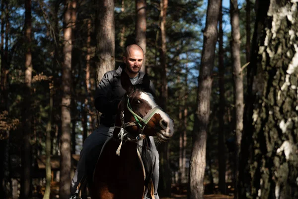 Porträtt Självsäker Man Med Häst Stående Fältet — Stockfoto