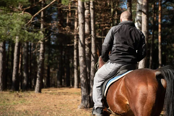 Ung Man Rider Med Hennes Häst Njuter Bra Humör Kvällens — Stockfoto