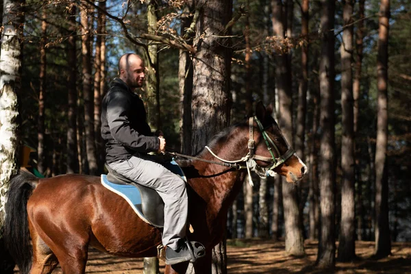 Portret Van Een Zelfverzekerde Man Met Paard Het Veld — Stockfoto