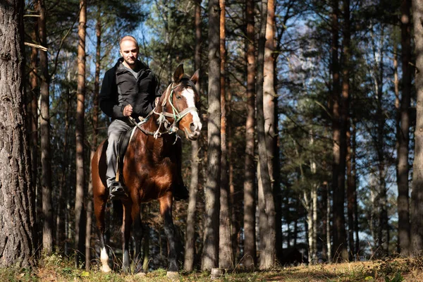 Ung Man Rider Med Hennes Häst Njuter Bra Humör Kvällens — Stockfoto