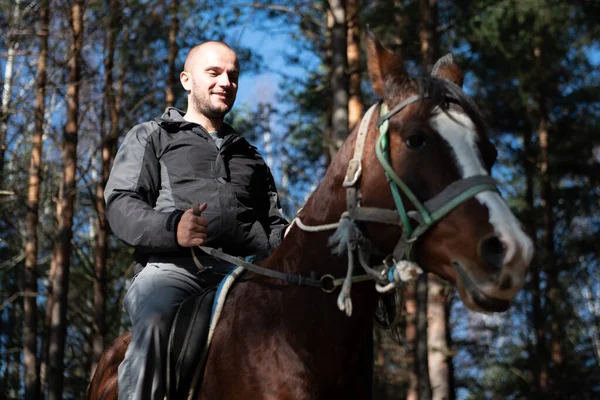 Joven Jinete Con Caballo Disfrutando Buen Humor Luz Del Atardecer —  Fotos de Stock