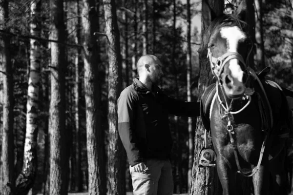 Jongeman Staat Buurt Van Paard Voor Bereiden Rijden Bruin Paard — Stockfoto