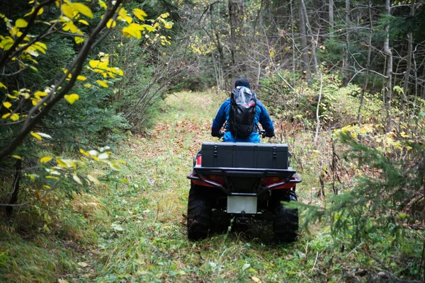 Homme Urgence Uniforme Protection Sur Quadruple Forêt Recherche Une Personne — Photo