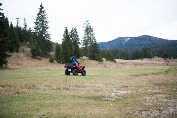 Sauveteur Uniforme Protection Sur Quad Observez Les Bois Pour Rechercher — Photo