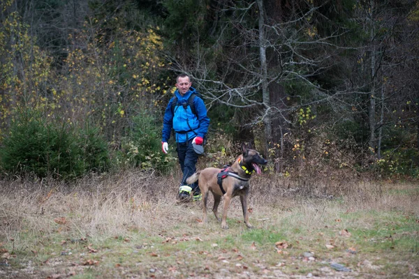 Sök Och Räddningsstyrkor Söker Genom Skogen Med Hjälp Räddningshund — Stockfoto