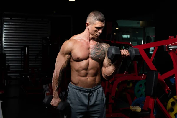 Αθλητής Που Εργάζονται Έξω Biceps Ένα Γυμναστήριο Dumbbells Συγκέντρωση Μπούκλες — Φωτογραφία Αρχείου